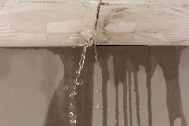 Professional Burst Pipe Cleanup technician working in Ookala, HI